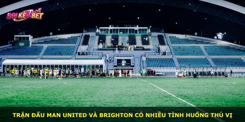 Trận đấu Man United và Brighton có nhiều tình huống thú vị