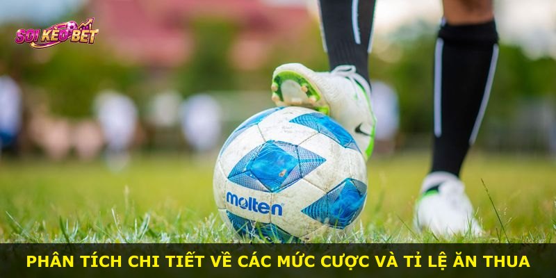Phân tích chi tiết về các mức cược và tỉ lệ ăn thua