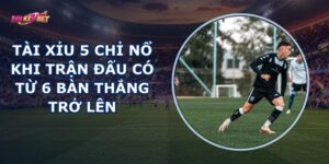 Tài Xỉu 5